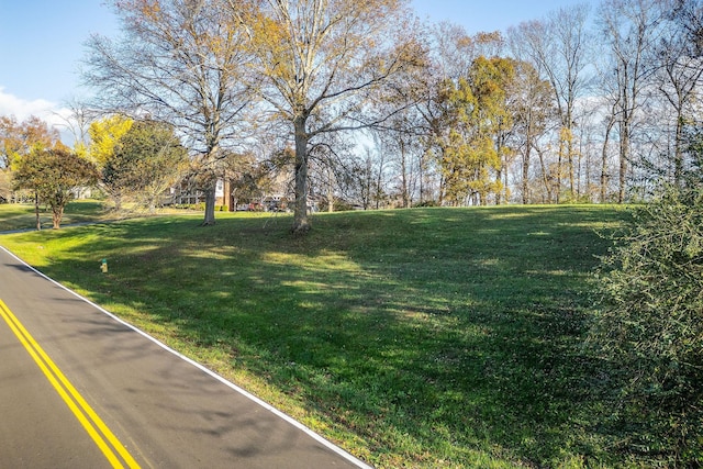 Listing photo 3 for 0 Indian Mound Dr, Mc Minnville TN 37110