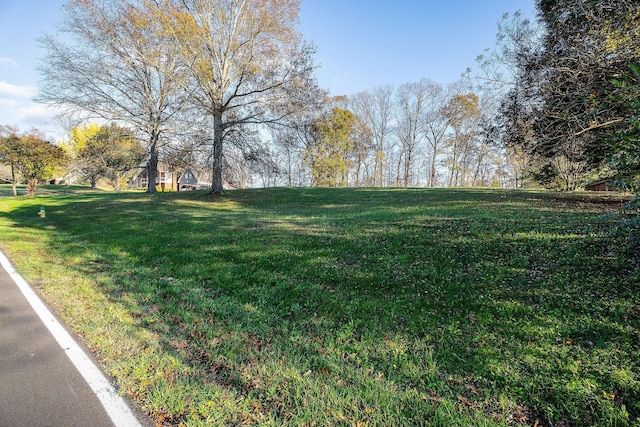 Listing photo 2 for 0 Indian Mound Dr, Mc Minnville TN 37110