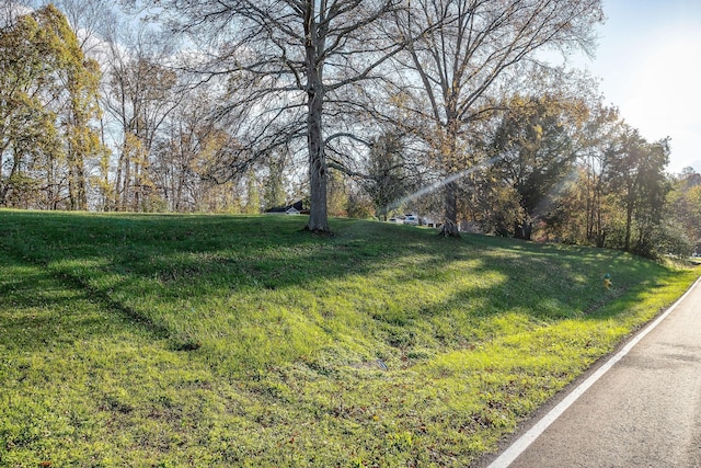 0 Indian Mound Dr, Mcminnville, TN 37110 - photo 18