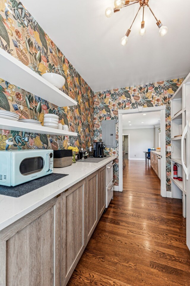 kitchen with electric panel and dark hardwood / wood-style flooring