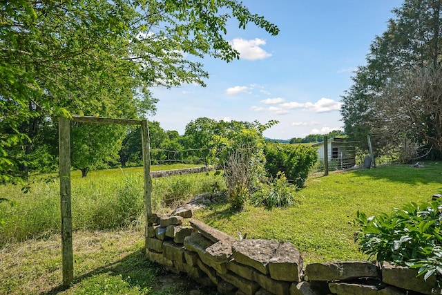 361 New Middleton Hwy, Gordonsville, TN 38563 - view of yard