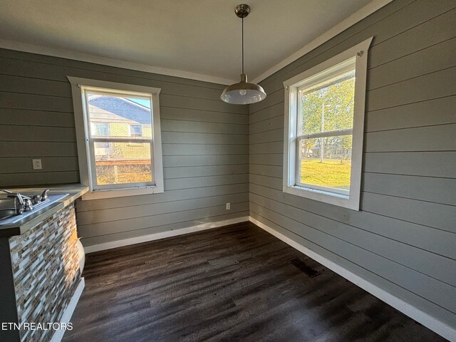 131 Christie Cir, Red Boiling Springs, TN 37150 - unfurnished room with wooden walls, dark wood-style flooring, a sink, and a healthy amount of sunlight