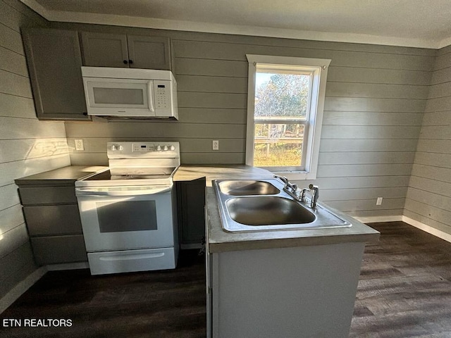 kitchen featuring dark hardwood / wood-style flooring, wooden walls, sink, and white appliances