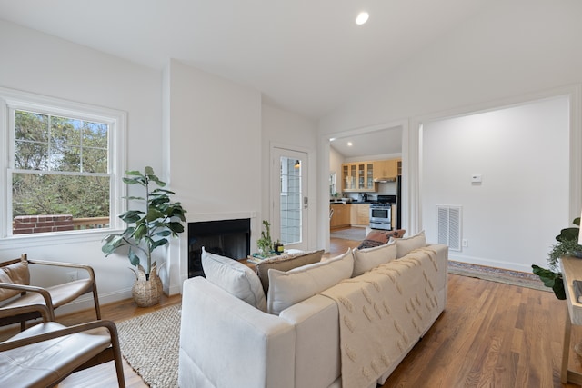 living room with lofted ceiling and hardwood / wood-style floors