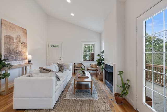 living room featuring high vaulted ceiling and light hardwood / wood-style floors