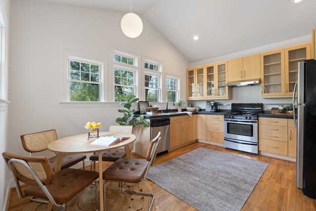 kitchen featuring light brown cabinets, a wealth of natural light, and stainless steel appliances