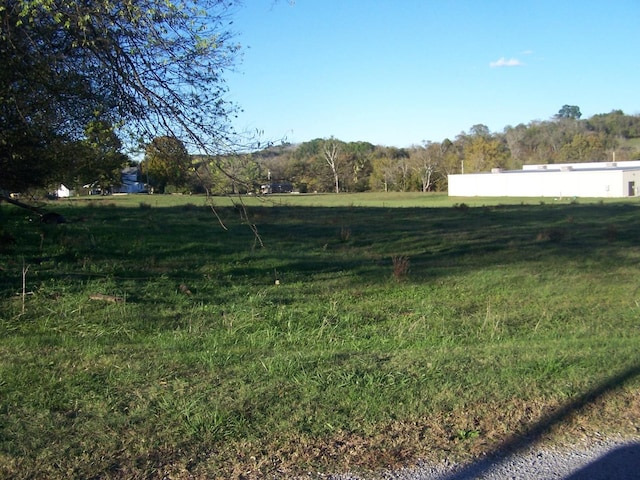 0 Cedar Place Rd, Pulaski, TN 38478