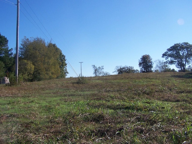0 Cedar Place Rd, Pulaski, TN 38478