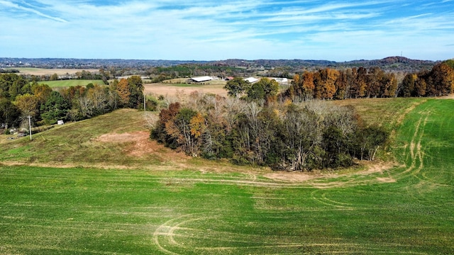 0 Cedar Place Rd, Pulaski, TN 38478