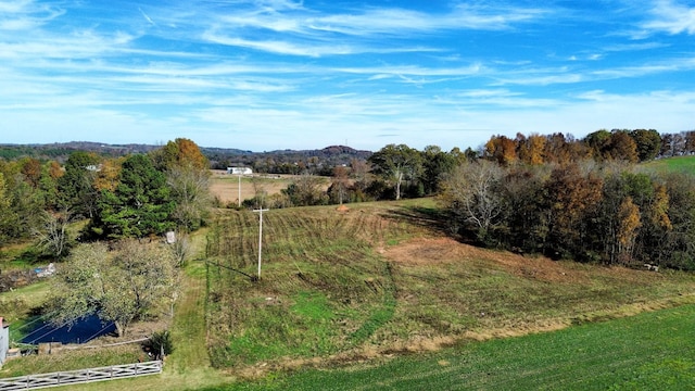 0 Cedar Place Rd, Pulaski, TN 38478