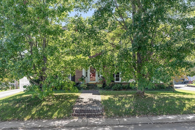 obstructed view of property featuring a front lawn and brick siding