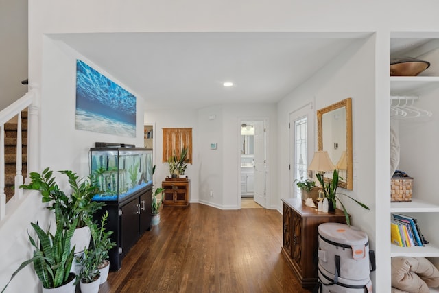 entrance foyer featuring dark hardwood / wood-style floors