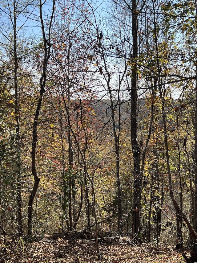 1 Cane Creek Rd, Hohenwald, TN 38462