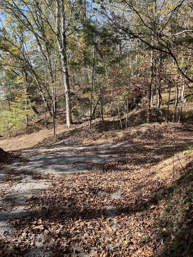 1 Cane Creek Rd, Hohenwald, TN 38462