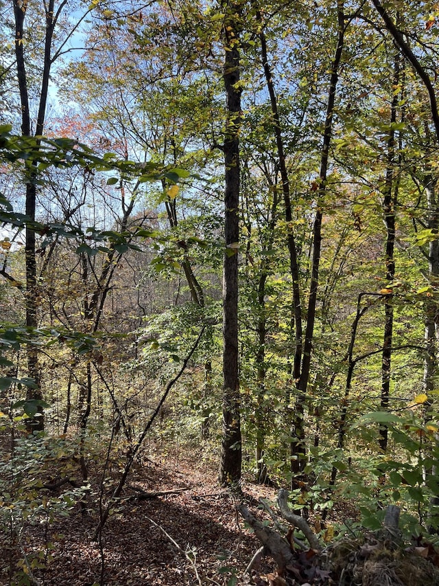 1 Cane Creek Rd, Hohenwald, TN 38462