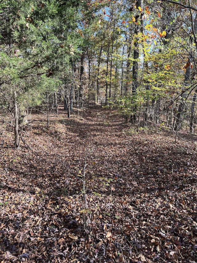 1 Cane Creek Rd, Hohenwald, TN 38462