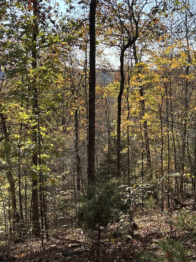 1 Cane Creek Rd, Hohenwald, TN 38462