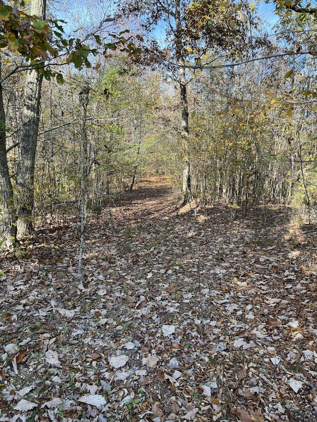 1 Cane Creek Rd, Hohenwald, TN 38462
