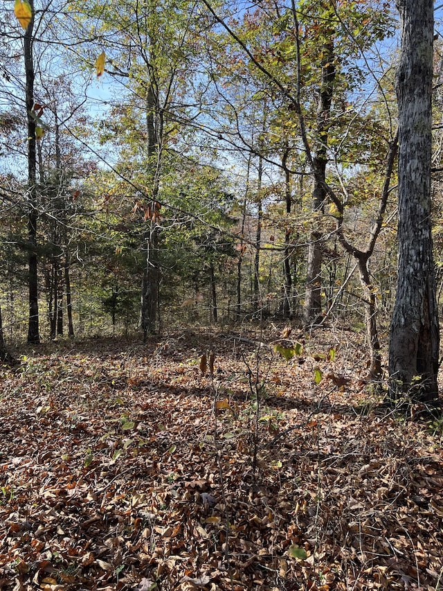 1 Cane Creek Rd, Hohenwald, TN 38462