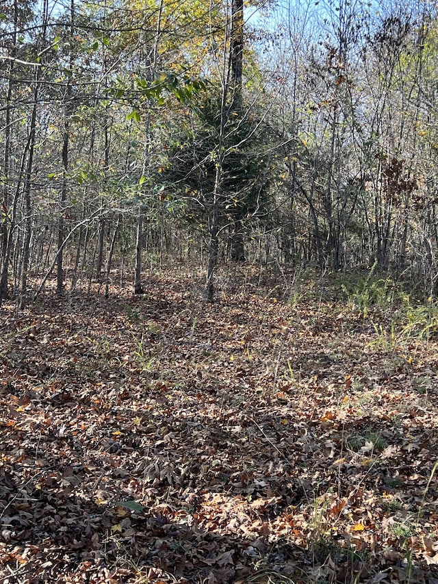 1 Cane Creek Rd, Hohenwald, TN 38462