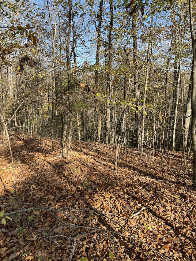 1 Cane Creek Rd, Hohenwald, TN 38462