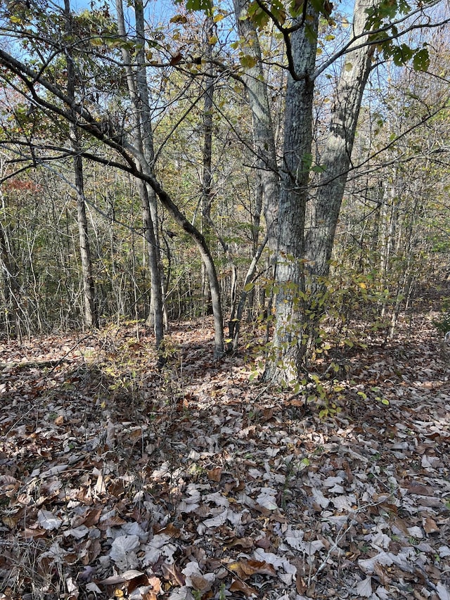 1 Cane Creek Rd, Hohenwald, TN 38462