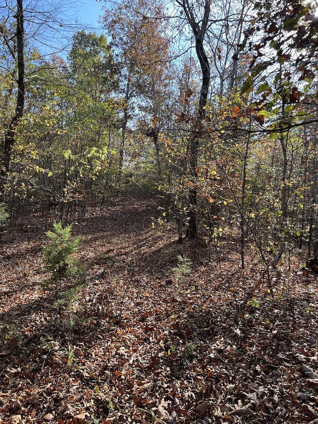 1 Cane Creek Rd, Hohenwald, TN 38462