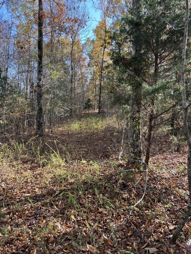1 Cane Creek Rd, Hohenwald, TN 38462