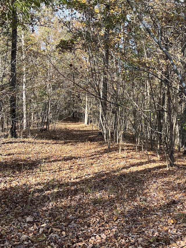1 Cane Creek Rd, Hohenwald, TN 38462