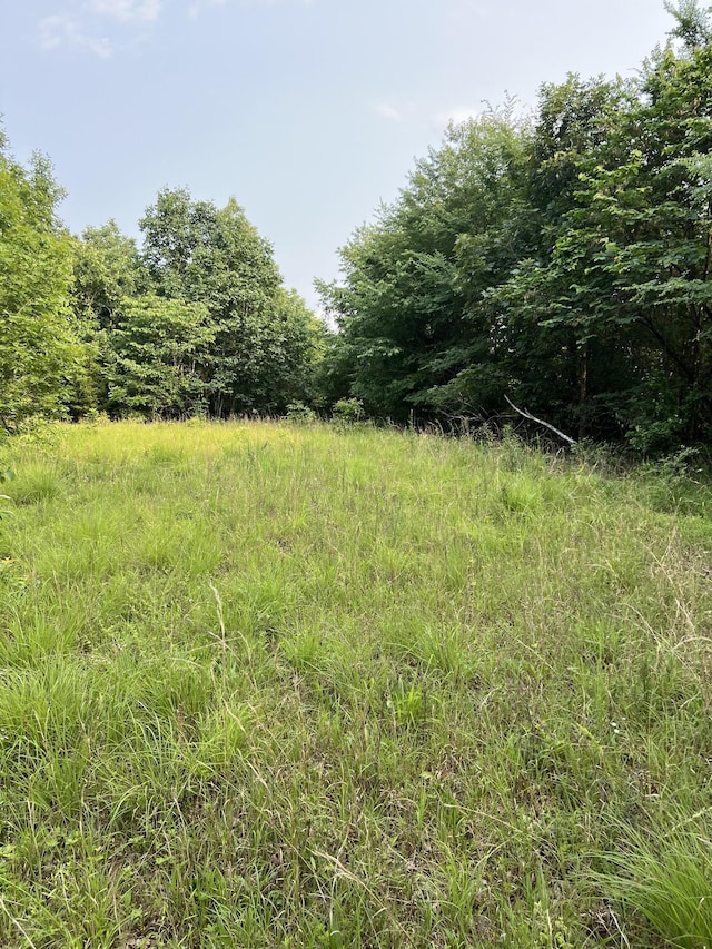 1 Cane Creek Rd, Hohenwald, TN 38462 - photo 6