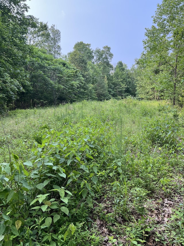 1 Cane Creek Rd, Hohenwald, TN 38462 - photo 5