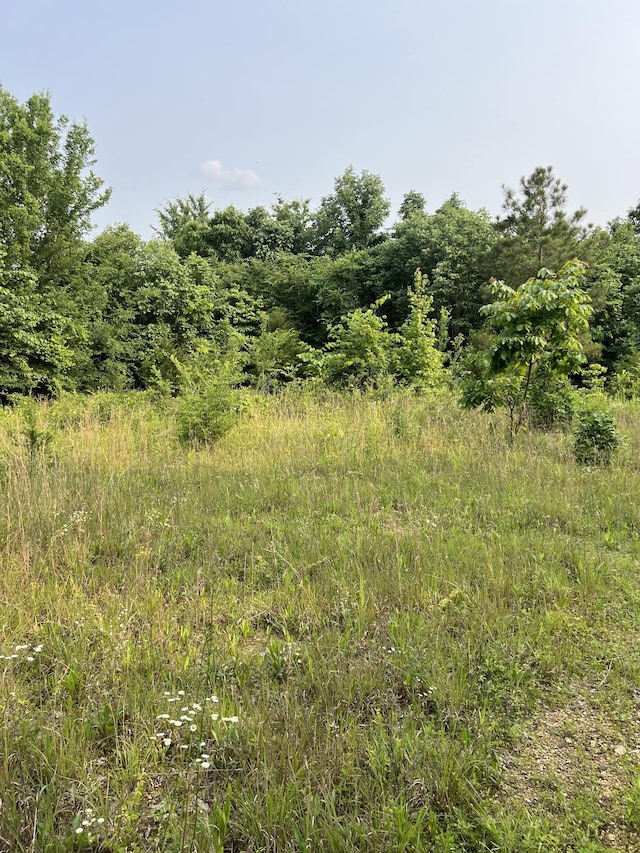 1 Cane Creek Rd, Hohenwald, TN 38462 - photo 9