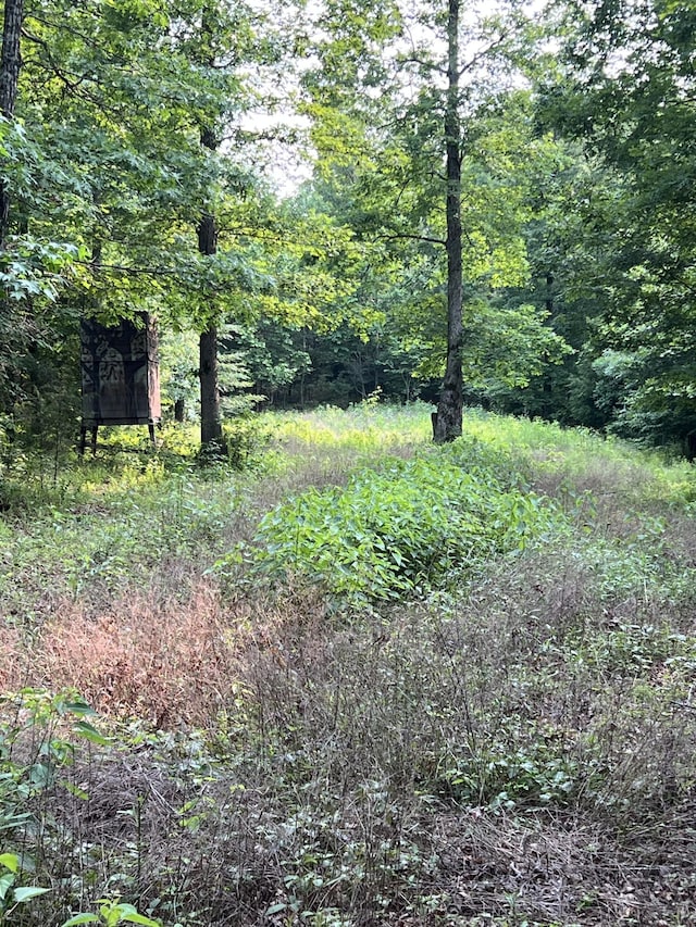 1 Cane Creek Rd, Hohenwald, TN 38462 - photo 1