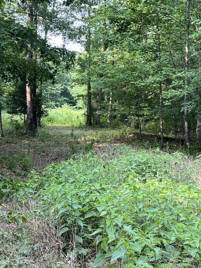 1 Cane Creek Rd, Hohenwald, TN 38462 - photo 26