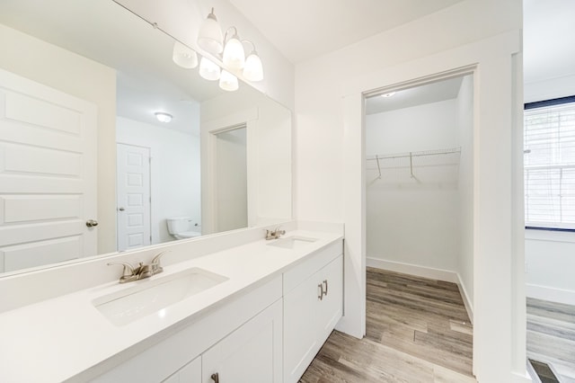 bathroom featuring vanity, toilet, and hardwood / wood-style flooring