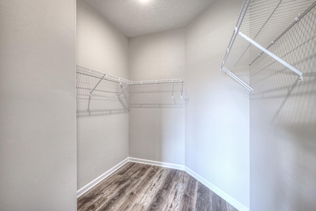 walk in closet with hardwood / wood-style flooring