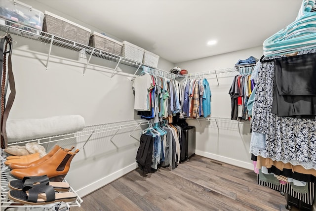 walk in closet featuring wood-type flooring