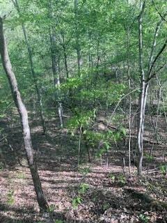 0 Hidden Highland Ct, Mc Ewen, TN 37101