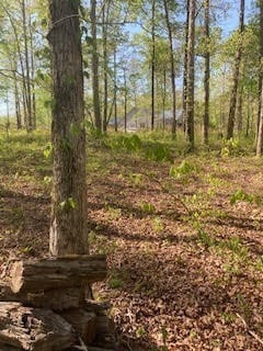 0 Hidden Highland Ct, Mc Ewen TN, 37101 land for sale