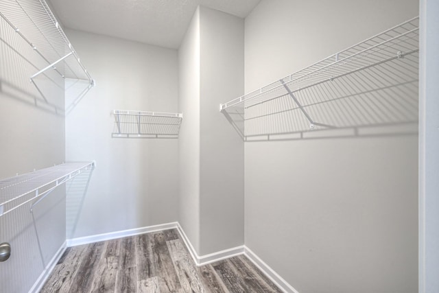 spacious closet featuring wood-type flooring