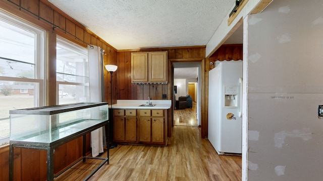 kitchen with light hardwood / wood-style flooring, a textured ceiling, sink, and white refrigerator with ice dispenser