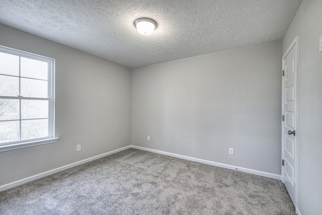 unfurnished room with plenty of natural light, carpet flooring, and a textured ceiling