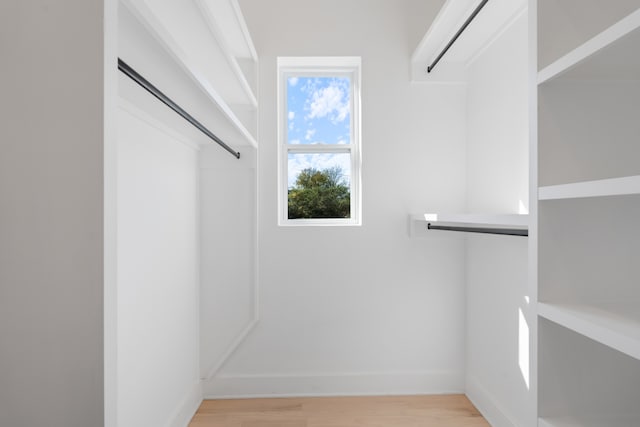 walk in closet with light hardwood / wood-style flooring