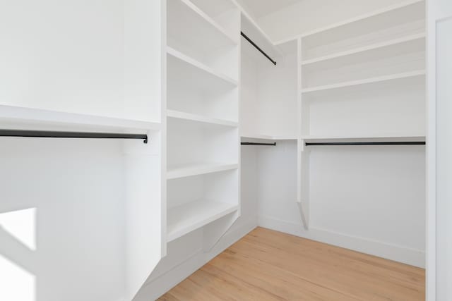 spacious closet with wood-type flooring