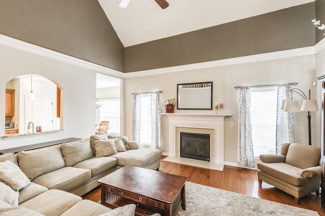 living room featuring hardwood / wood-style flooring, high vaulted ceiling, and ceiling fan