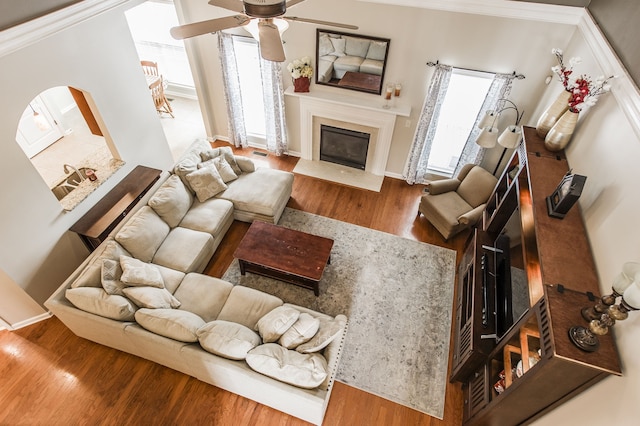 living room with ceiling fan, crown molding, and hardwood / wood-style floors