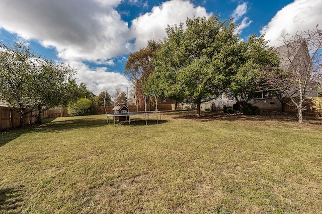 view of yard featuring a trampoline