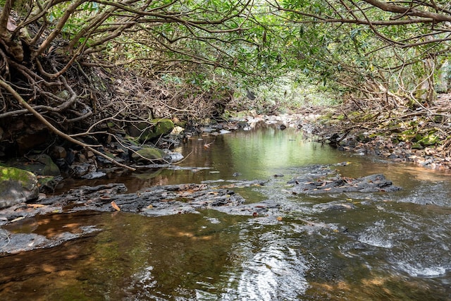 view of water feature