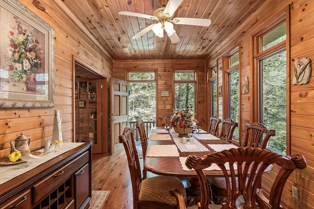 dining space with light hardwood / wood-style flooring, wood walls, wood ceiling, and ceiling fan