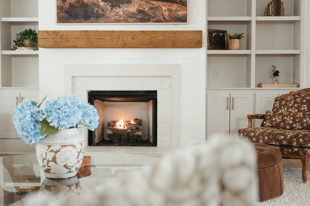 living area with built in shelves